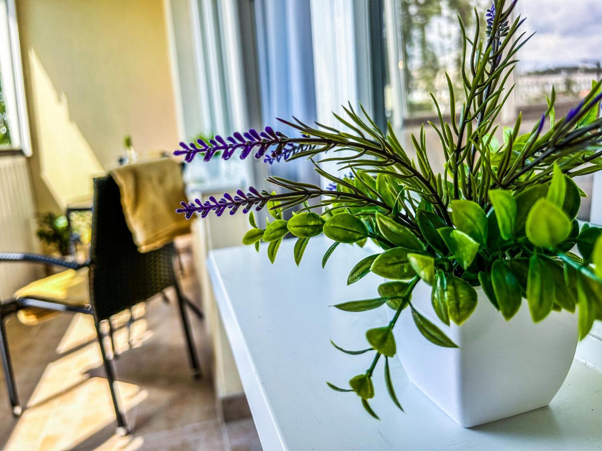 Szekszárd Villa Blue City Apartman מראה חיצוני תמונה