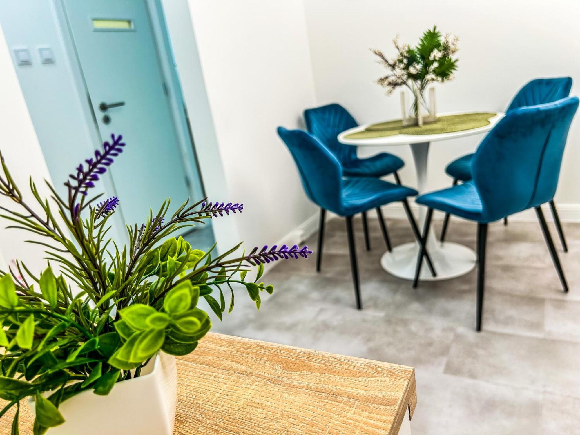 Szekszárd Villa Blue City Apartman מראה חיצוני תמונה